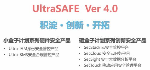 神州泰岳 信息技術咨詢服務的卓越引領者